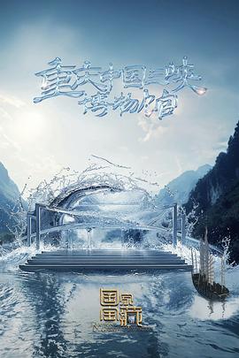 南宁专业的seo网站排名优化